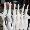 hình ảnh thịt dê móc hàm